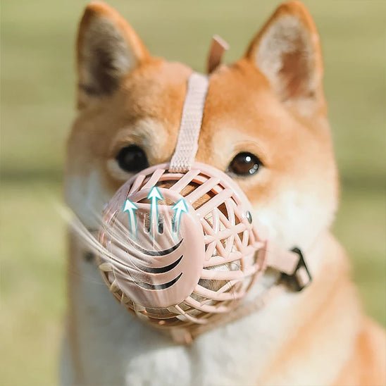 Muselière anti aboiement | Confort Ajustable - Joli Doggy