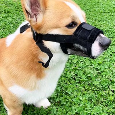 MUSELIERE | Anti - aboiement Souple - Joli Doggy
