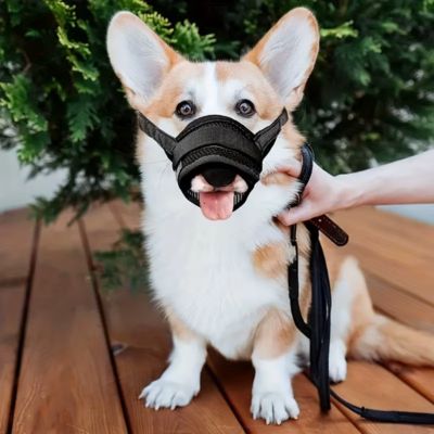 MUSELIERE | Anti - aboiement Souple - Joli Doggy