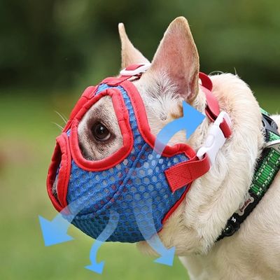 Muselière bouledogue français | Souple - Joli Doggy