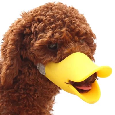 Muselière chien | Silicone - Joli Doggy