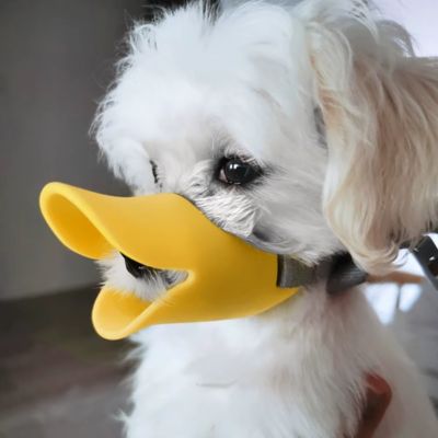 Muselière chien | Silicone - Joli Doggy