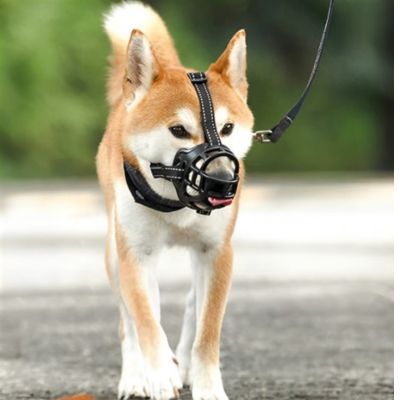 MUSELIÈRE CHIEN | Souple (21 - 31cm) - Joli Doggy