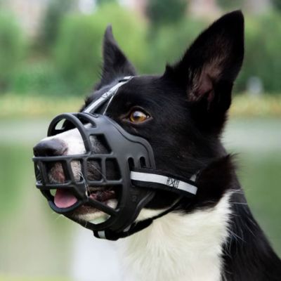 MUSELIÈRE CHIEN respirante
