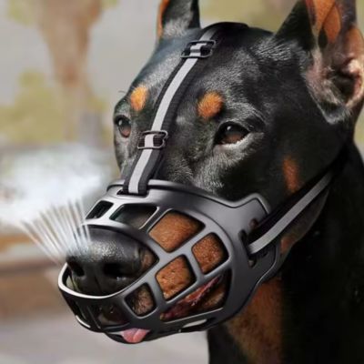 MUSELIÈRE CHIEN