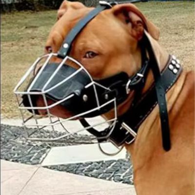 MUSELIÈRE | Grillage - Joli Doggy