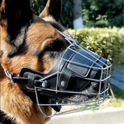 MUSELIÈRE | Grillage - Joli Doggy
