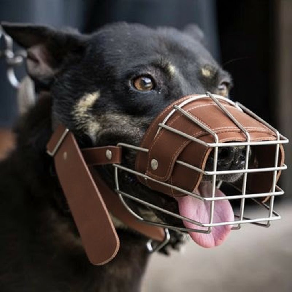 Muselière grillage | Brune - Joli Doggy