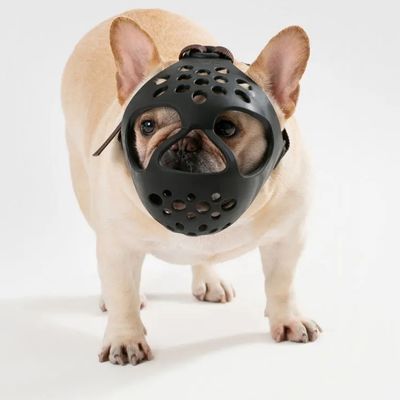 Muselière pour bouledogue francais | Silicone - Joli Doggy