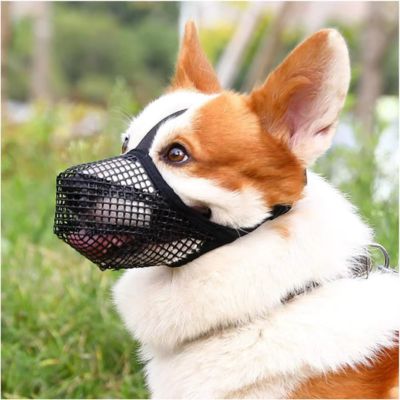 Muselière pour chien | Maille Souple - Joli Doggy