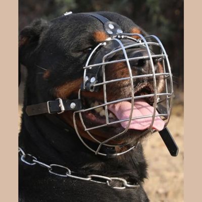 Muselière pour rottweiler | Securité et comfort - Joli Doggy