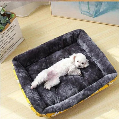 Panier Chien │Molly™ - Joli Doggy