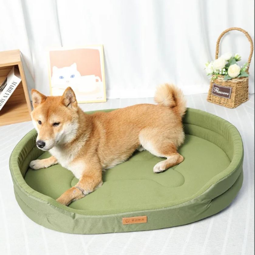 Panier Chien XXL Big - Rex™ - Vert - Joli Doggy