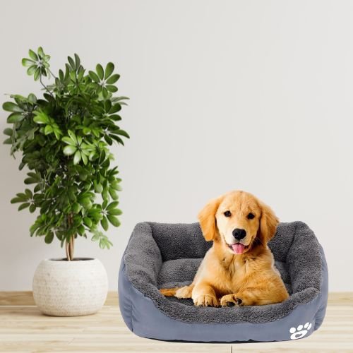 Panier Chien XXL Hercule™ - Joli Doggy