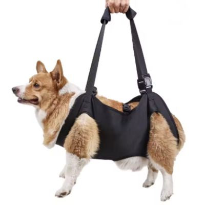 porte chien 10 kg