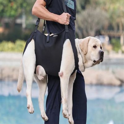 porte chien epaule grande race