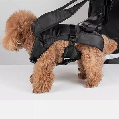 SAC A DOS CHIEN - Confo - Joli Doggy
