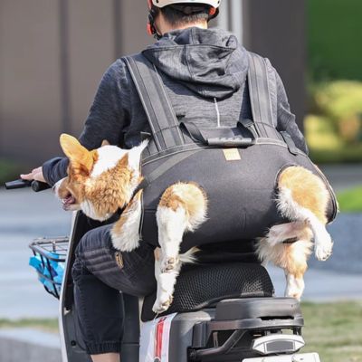 SAC A DOS POUR CHIEN - Jusqu'à 37 kilos - Joli Doggy