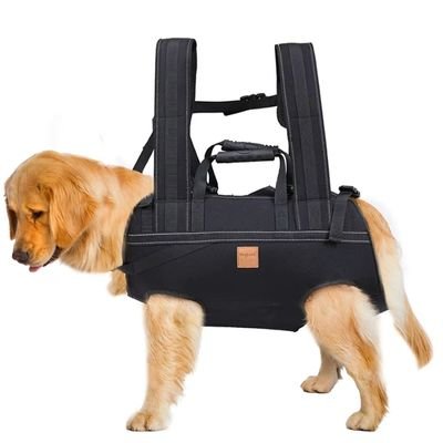 SAC A DOS POUR CHIEN - Jusqu'à 37 kilos - Joli Doggy