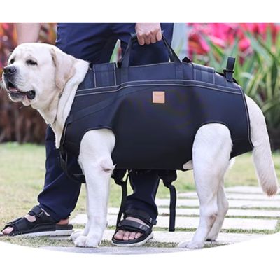 SAC A DOS pour chien │ 15 kg à 37 kg