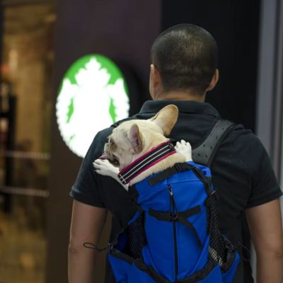 SAC A DOS POUR CHIEN - Tête et pattes - Joli Doggy