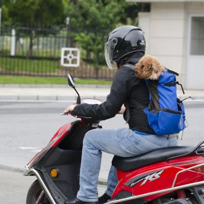 SAC A DOS POUR CHIEN - Tête et pattes - Joli Doggy