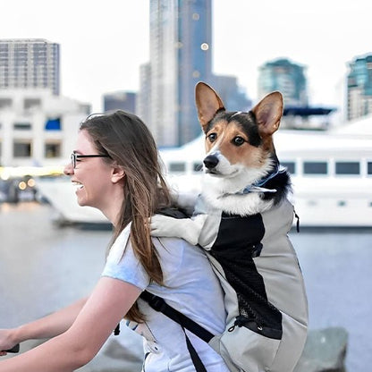 SAC A DOS POUR CHIEN - Tête et pattes - Joli Doggy