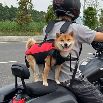 SAC À DOS RANDONNÉE CHIEN | 10 kg max - Joli Doggy
