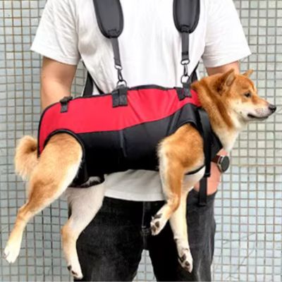 SAC À DOS RANDONNÉE CHIEN | 10 kg max - Joli Doggy