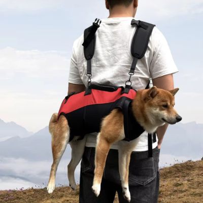 SAC À DOS RANDONNÉE CHIEN | 10 kg max - Joli Doggy