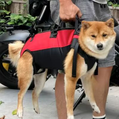 Sac à dos randonnée chien 10 kg max – Joli Doggy