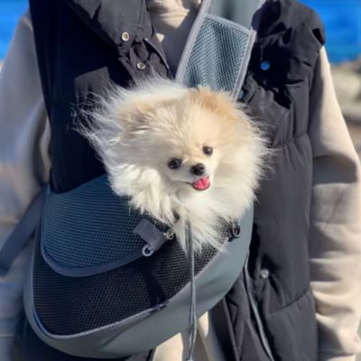 SAC POUR CHIEN TRANSPORT - Confo - Joli Doggy