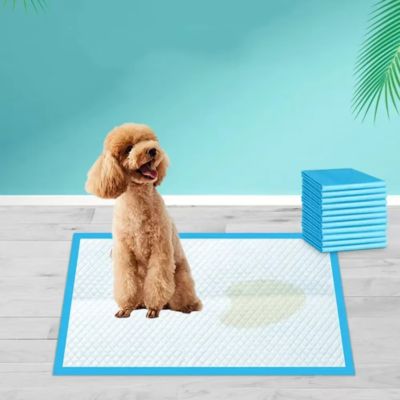 TAPIS ABSORBANT CHIEN | Chipie™ - Joli Doggy