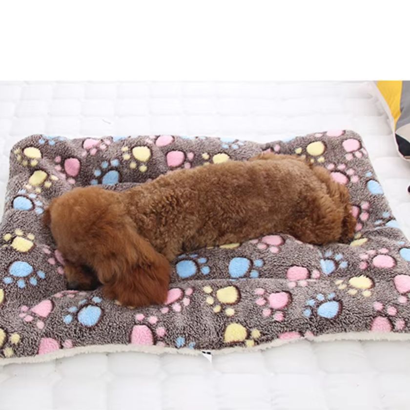 Tapis Chien Oscar™ - Joli Doggy