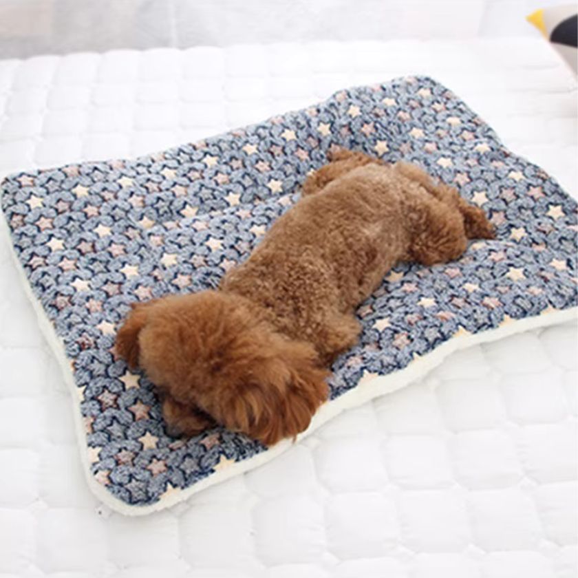 Tapis Chien Oscar™ - Joli Doggy