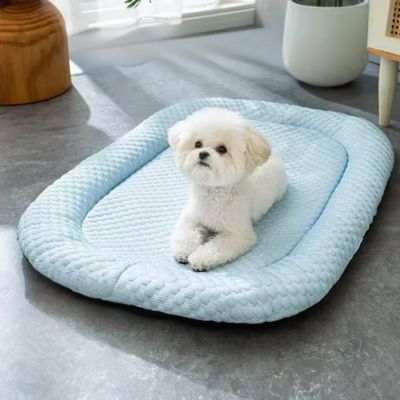 TAPIS CHIEN RAFRAICHISSANT - Gus™ - Joli Doggy