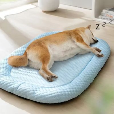 TAPIS CHIEN RAFRAICHISSANT - Gus™ - Joli Doggy