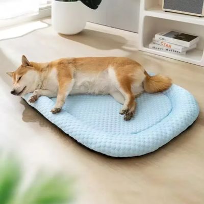 TAPIS CHIEN RAFRAICHISSANT - Gus™ - Joli Doggy