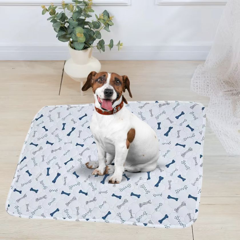 Tapis pour Chien │Enzo™ - Joli Doggy