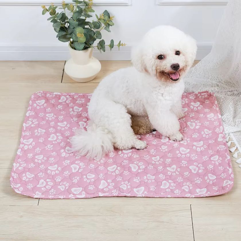 Tapis pour Chien │Enzo™ - Joli Doggy