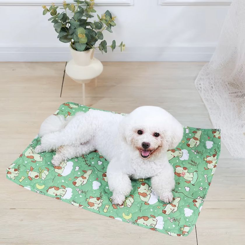 Tapis pour Chien │Enzo™ - Joli Doggy