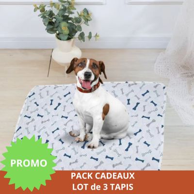 Tapis pour Chien │Enzo™ - Ultra absorbant et lavable - Joli Doggy