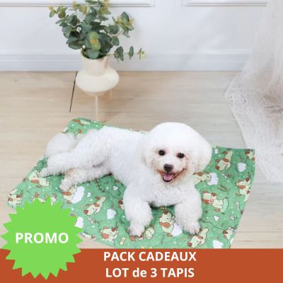 Tapis pour Chien │Enzo™ - Ultra absorbant et lavable - Joli Doggy