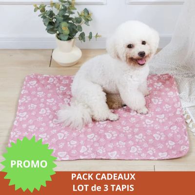 Tapis pour Chien │Enzo™ - Ultra absorbant et lavable - Joli Doggy