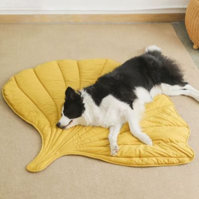 Tapis pour Chien Rafraichissant | Ulysse™ - Joli Doggy