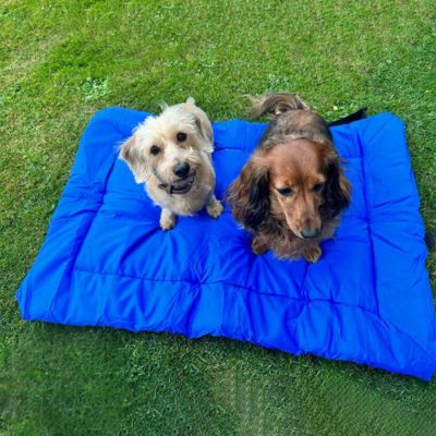 Tapis pour Chien │Taz™ - Joli Doggy