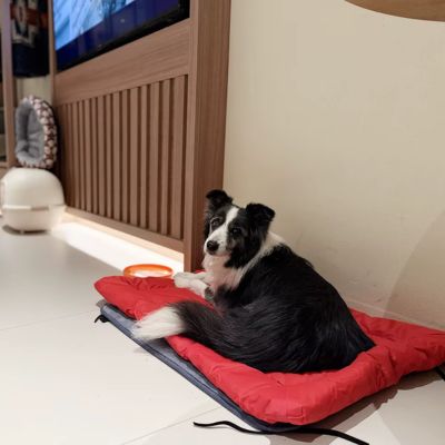 Tapis pour Chien │Taz™ - Joli Doggy