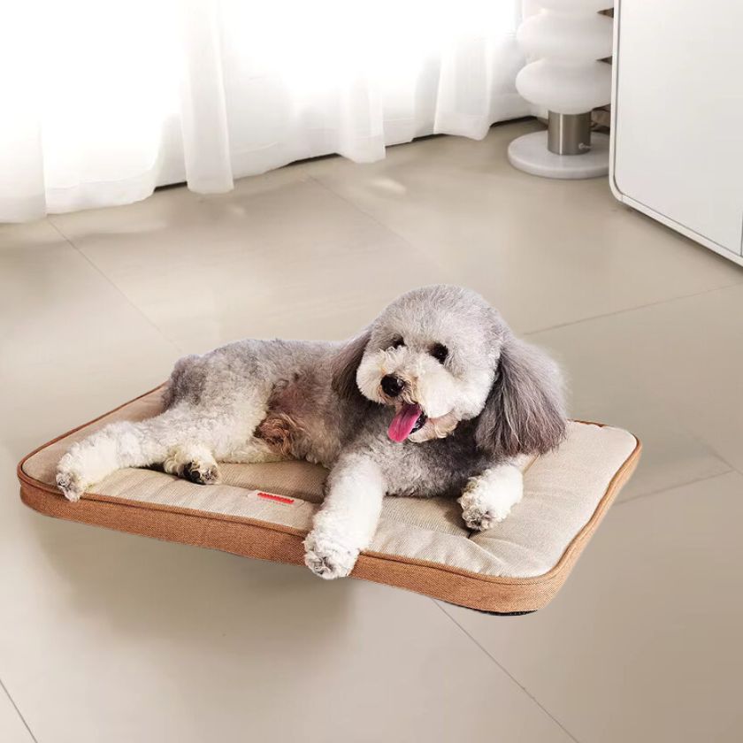 Tapis pour Chien │ Tess™ - Joli Doggy