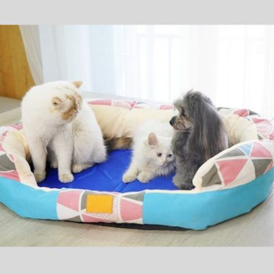 TAPIS RAFRAICHISSANT CHIEN | Max™ - Joli Doggy