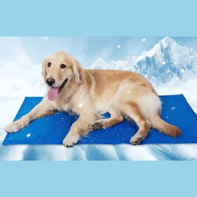 TAPIS RAFRAICHISSANT CHIEN | Max™ - Joli Doggy